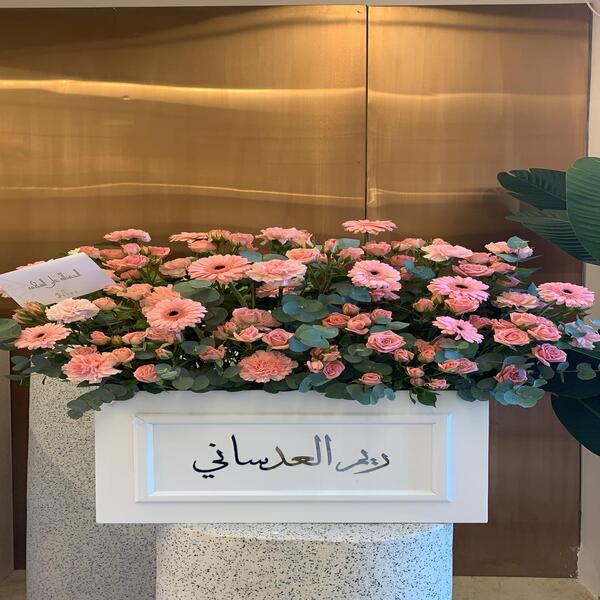 cef67d03_WhatsApp Image 2026-02-19 at 3.28.15 PM (1).jpeg